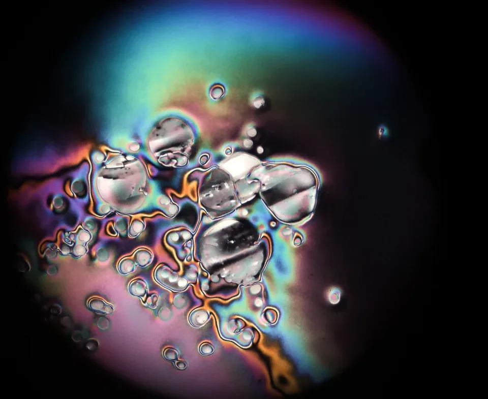 Liquid Crystals